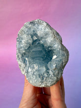 Load image into Gallery viewer, CELESTITE CLUSTER (7) Cluster The Crystal Avenues 
