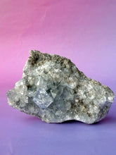 Load image into Gallery viewer, CELESTITE CLUSTER (9) Cluster The Crystal Avenues 
