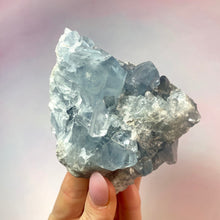 Load image into Gallery viewer, CELESTITE CLUSTER (B) Cluster The Crystal Avenues 
