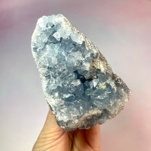 Load image into Gallery viewer, CELESTITE CLUSTER (C) Cluster The Crystal Avenues 
