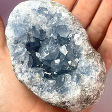 Load image into Gallery viewer, CELESTITE CLUSTER (L) Cluster The Crystal Avenues 
