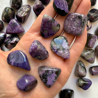 CHAROITE TUMBLE STONES tumble stone The Crystal Avenues 
