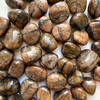 CHIASTOLITE (CROSS STONE) TUMBLE STONE Tumble Stone The Crystal Avenues 