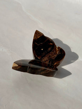 CHOCOLATE CALCITE BUTTERFLY (1) The Crystal Avenues 