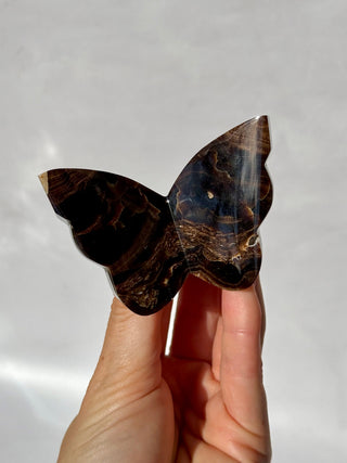 CHOCOLATE CALCITE BUTTERFLY (1) The Crystal Avenues 