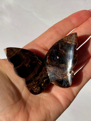 CHOCOLATE CALCITE BUTTERFLY (1) The Crystal Avenues 