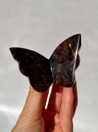 CHOCOLATE CALCITE BUTTERFLY (2) The Crystal Avenues 