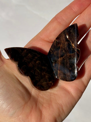 CHOCOLATE CALCITE BUTTERFLY (2) The Crystal Avenues 