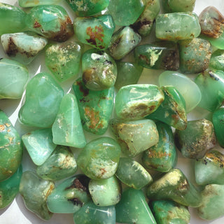 CHRYSOPRASE TUMBLE STONE Tumble Stone The Crystal Avenues 