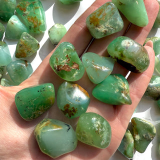 CHRYSOPRASE TUMBLE STONE Tumble Stone The Crystal Avenues 