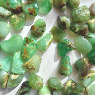 CHRYSOPRASE TUMBLE STONE Tumble Stone The Crystal Avenues 