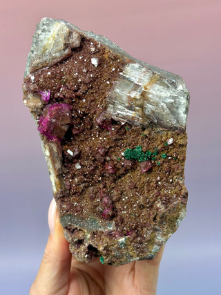 Cobaltoan Calcite on Dolomite – Kolwezi, DR Congo (1) Cluster The Crystal Avenues 