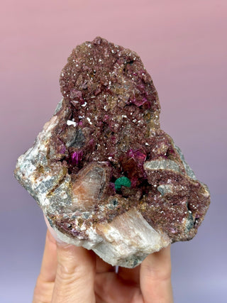 Cobaltoan Calcite on Dolomite – Kolwezi, DR Congo (3) Cluster The Crystal Avenues 