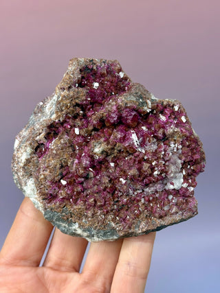 Cobaltoan Calcite on Dolomite – Kolwezi, DR Congo (4) Cluster The Crystal Avenues 