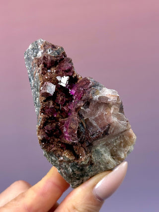 Cobaltoan Calcite on Dolomite – Kolwezi, DR Congo (5) Cluster The Crystal Avenues 