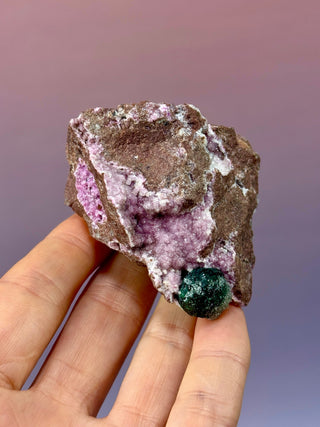 Cobaltoan Calcite on Dolomite – Kolwezi, DR Congo (6) Cluster The Crystal Avenues 