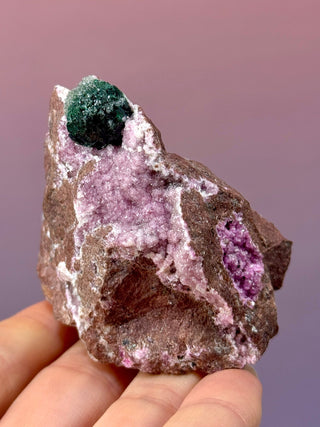 Cobaltoan Calcite on Dolomite – Kolwezi, DR Congo (6) Cluster The Crystal Avenues 