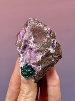 Cobaltoan Calcite on Dolomite – Kolwezi, DR Congo (6) Cluster The Crystal Avenues 