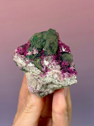 Cobaltoan Calcite on Dolomite – Kolwezi, DR Congo (7) Cluster The Crystal Avenues 