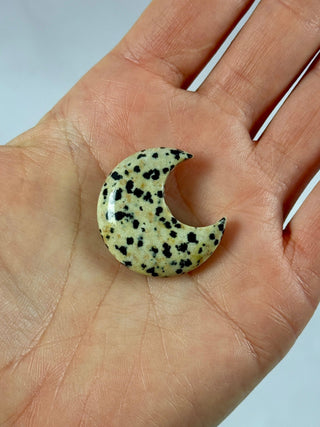 DALMATIAN JASPER MOON CRYSTAL (1) Raw Crystal The Crystal Avenues 