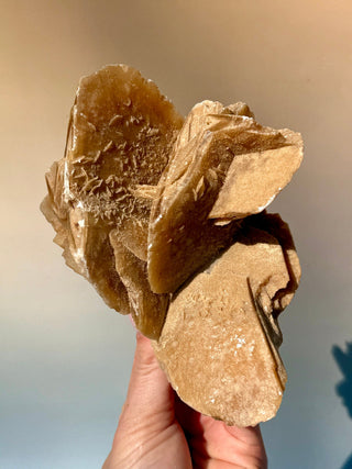 DESERT ROSE (4) Raw Crystal The Crystal Avenues 