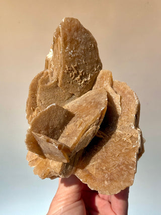 DESERT ROSE (4) Raw Crystal The Crystal Avenues 