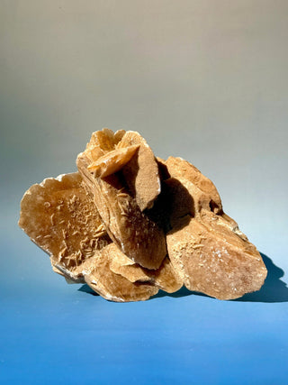 DESERT ROSE (4) Raw Crystal The Crystal Avenues 