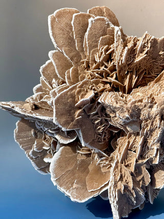 DESERT ROSE - EXCLUSIVE QUALITY (1) Raw Crystal The Crystal Avenues 