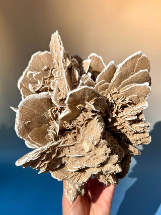 DESERT ROSE - EXCLUSIVE QUALITY (1) Raw Crystal The Crystal Avenues 