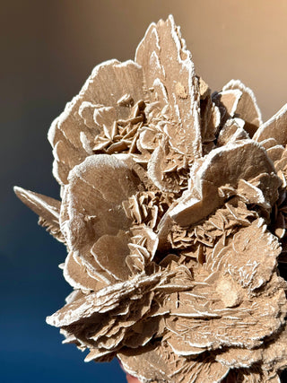 DESERT ROSE - EXCLUSIVE QUALITY (1) Raw Crystal The Crystal Avenues 