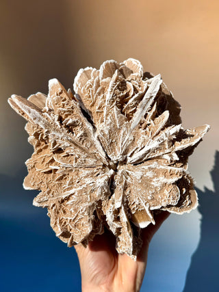 DESERT ROSE - EXCLUSIVE QUALITY (1) Raw Crystal The Crystal Avenues 