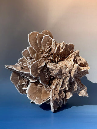 DESERT ROSE - EXCLUSIVE QUALITY (1) Raw Crystal The Crystal Avenues 
