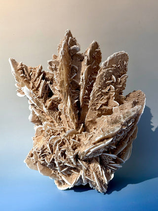 DESERT ROSE - EXCLUSIVE QUALITY (2) Raw Crystal The Crystal Avenues 
