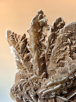 DESERT ROSE - EXCLUSIVE QUALITY (2) Raw Crystal The Crystal Avenues 