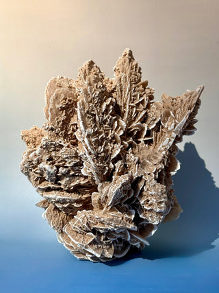 DESERT ROSE - EXCLUSIVE QUALITY (2) Raw Crystal The Crystal Avenues 