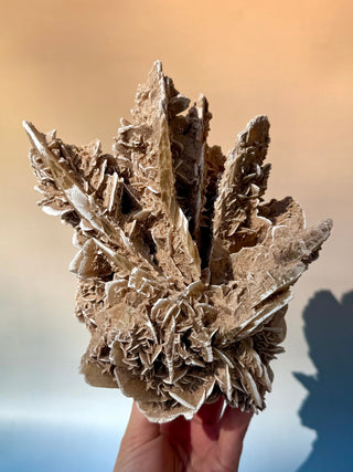 DESERT ROSE - EXCLUSIVE QUALITY (2) Raw Crystal The Crystal Avenues 