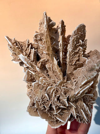 DESERT ROSE - EXCLUSIVE QUALITY (2) Raw Crystal The Crystal Avenues 