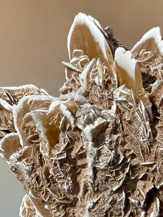 DESERT ROSE - EXCLUSIVE QUALITY (3) Raw Crystal The Crystal Avenues 