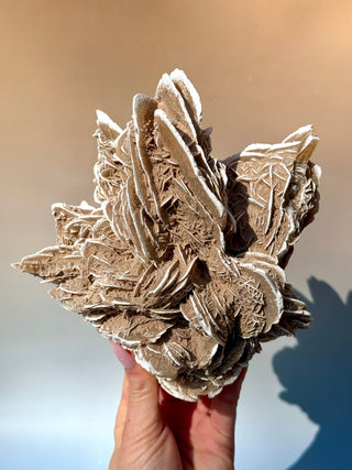 DESERT ROSE - EXCLUSIVE QUALITY (3) Raw Crystal The Crystal Avenues 