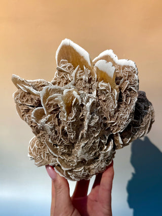 DESERT ROSE - EXCLUSIVE QUALITY (3) Raw Crystal The Crystal Avenues 