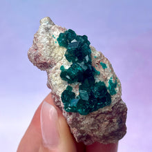 Indlæs billede til gallerivisning DIOPTASE (4) tumble stone The Crystal Avenues 
