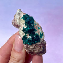 Indlæs billede til gallerivisning DIOPTASE (4) tumble stone The Crystal Avenues 
