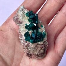 Indlæs billede til gallerivisning DIOPTASE (4) tumble stone The Crystal Avenues 
