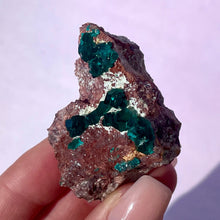 Load image into Gallery viewer, DIOPTASE (7) tumble stone The Crystal Avenues 
