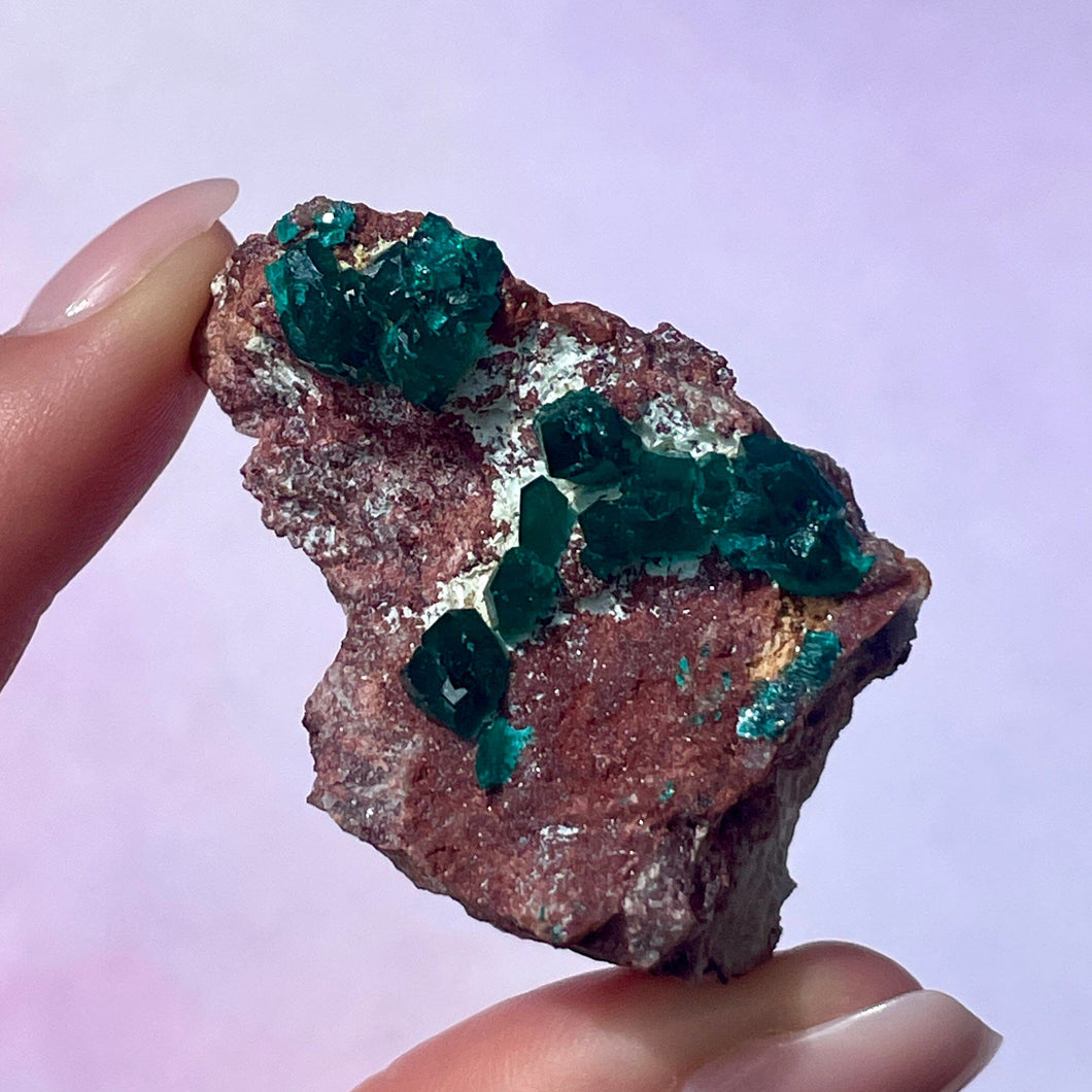 DIOPTASE (7) tumble stone The Crystal Avenues 