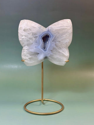 DRUZY AGATE BUTTERFLY - EXCLUSIVE QUALITY (1) The Crystal Avenues 
