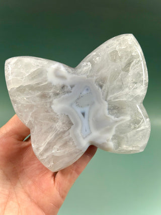 DRUZY AGATE BUTTERFLY - EXCLUSIVE QUALITY (1) The Crystal Avenues 