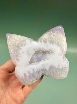 DRUZY AGATE BUTTERFLY - EXCLUSIVE QUALITY (2) The Crystal Avenues 