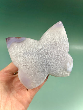 DRUZY AGATE BUTTERFLY - EXCLUSIVE QUALITY (2) The Crystal Avenues 