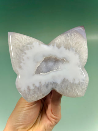 DRUZY AGATE BUTTERFLY - EXCLUSIVE QUALITY (2) The Crystal Avenues 
